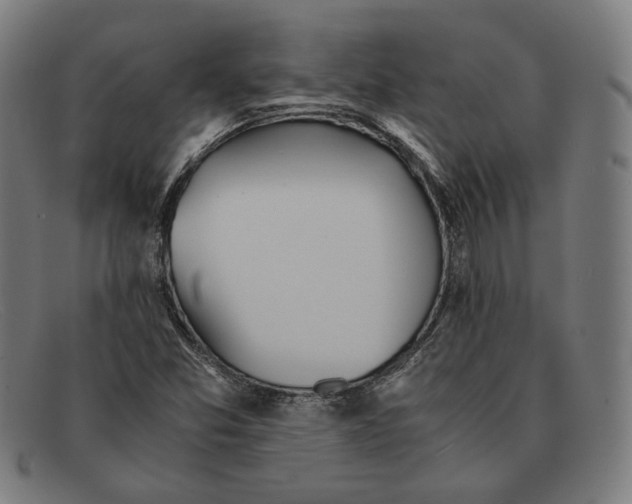 X0000091301357200708311329