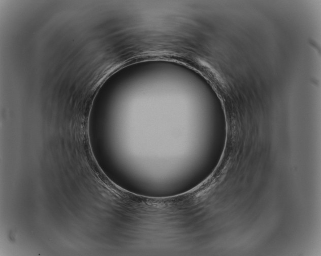 X0000091301361200708311328