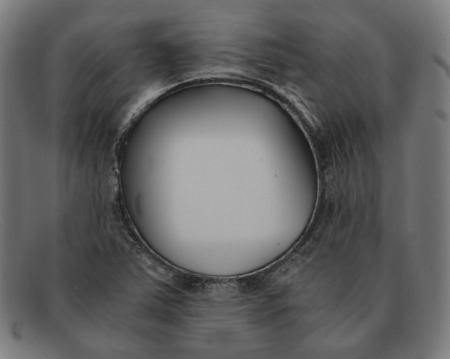 X0000091301363200708311328