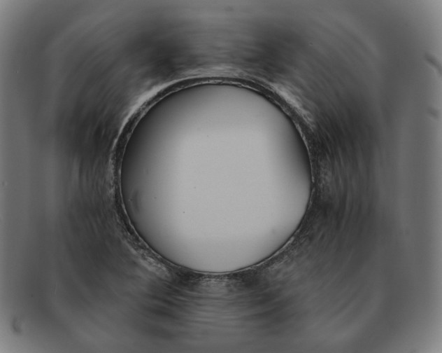 X0000091301364200708311328