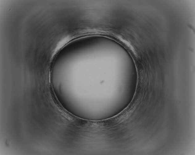 X0000091301365200708311328