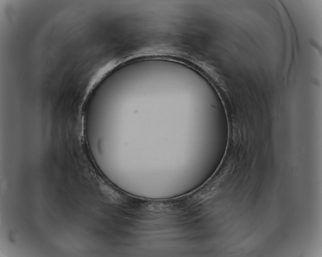 X0000091301366200708311328