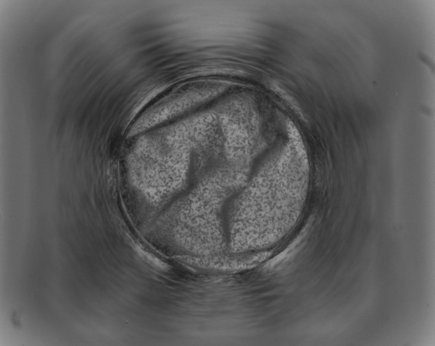 X0000091301369200708311328