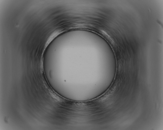 X0000091301370200708311328