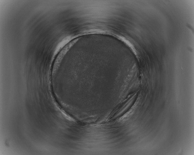 X0000091301373200708311328