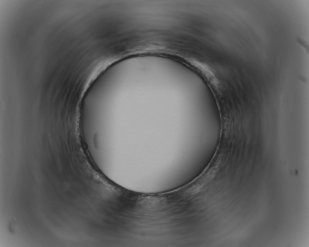 X0000091301374200708311328