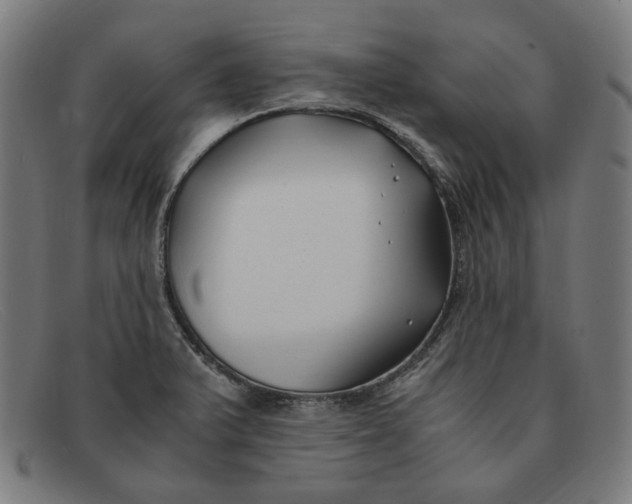 X0000091301375200708311328