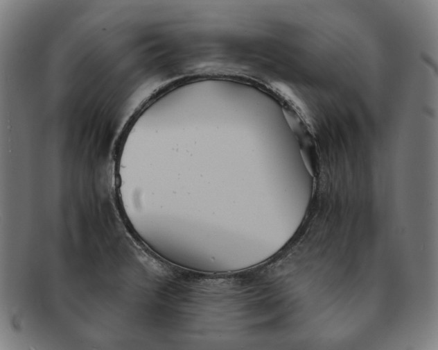 X0000091301376200708311328