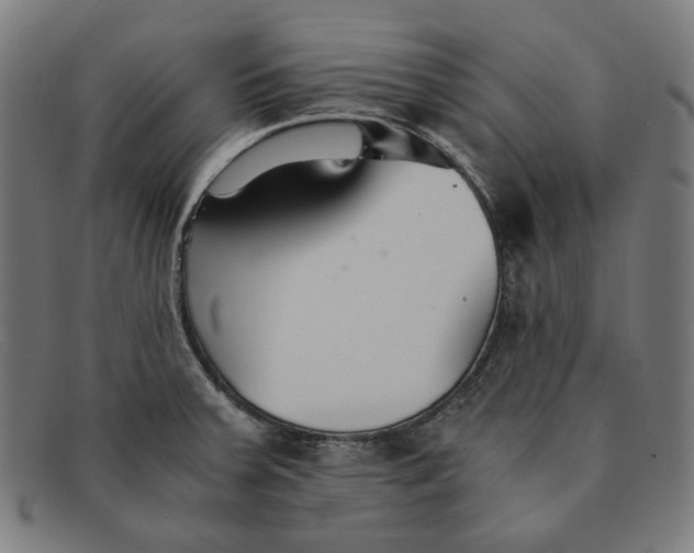 X0000091301379200708311328