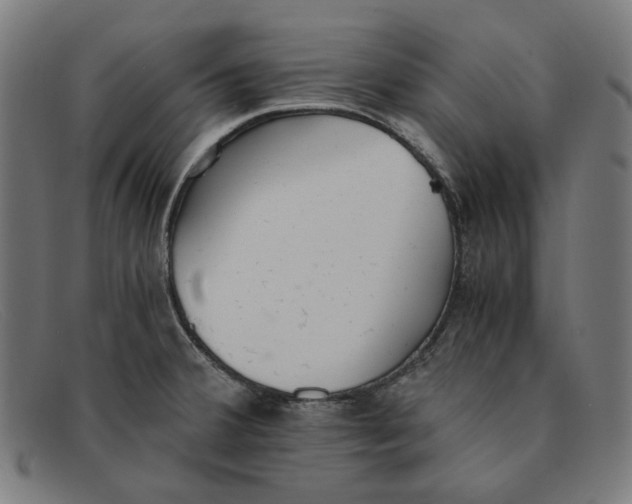 X0000091301380200708311328