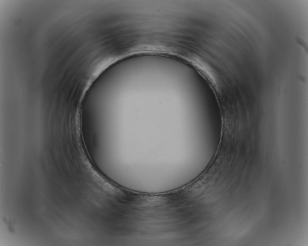 X0000091301382200708311328