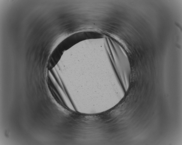 X0000091301383200708311328