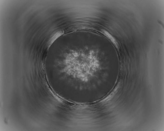 X0000091301385200708311328