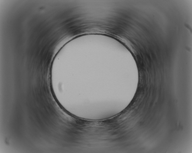 X0000091301387200708311328