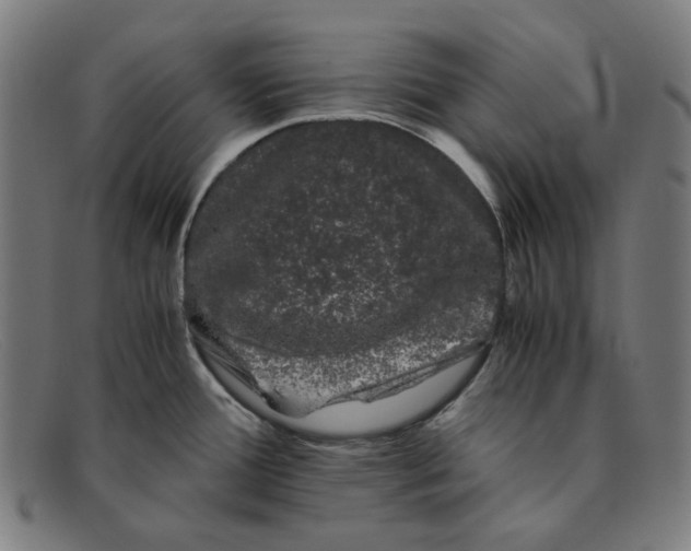 X0000091301388200708311328