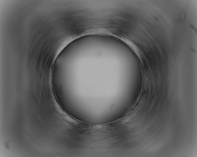 X0000091301390200708311328