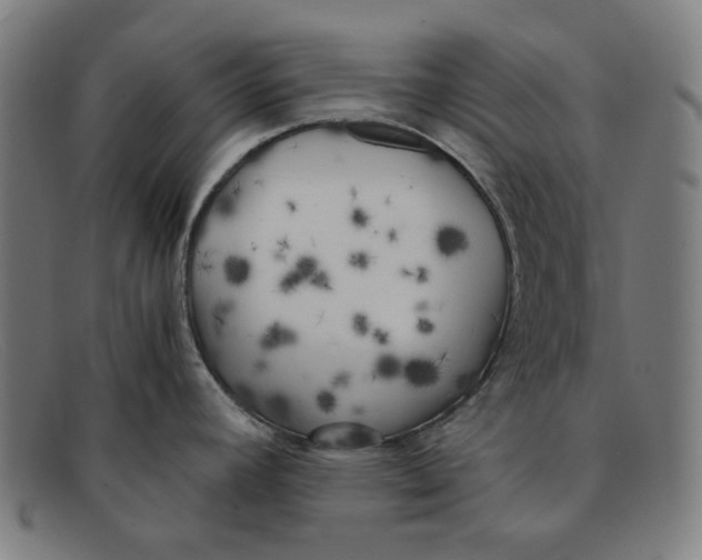 X0000091301392200708311328