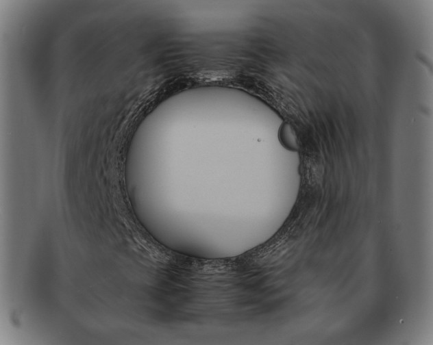 X0000091301393200708311328