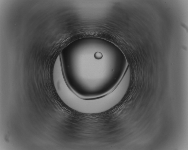 X0000091301394200708311328