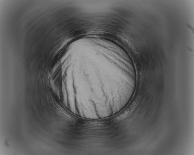 X0000091301401200708311328