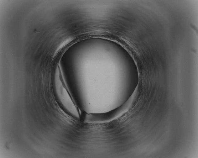 X0000091301402200708311328