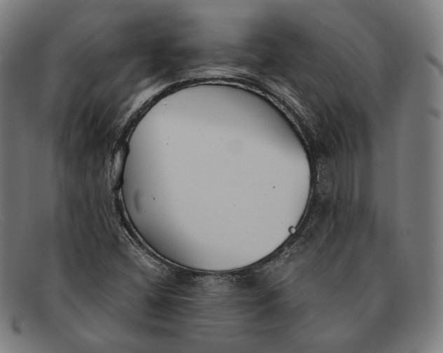 X0000091301404200708311328