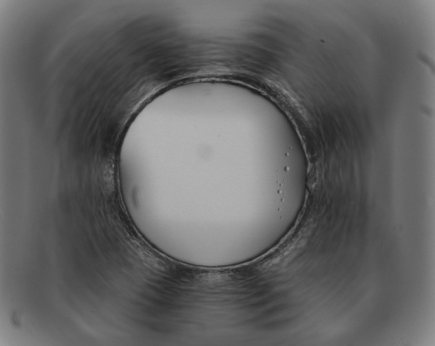 X0000091301409200708311328