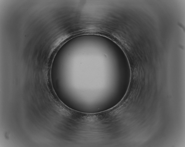 X0000091301410200708311328