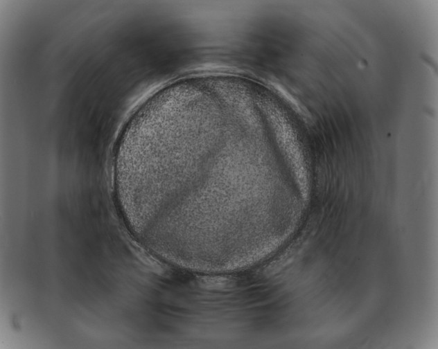 X0000091301413200708311328