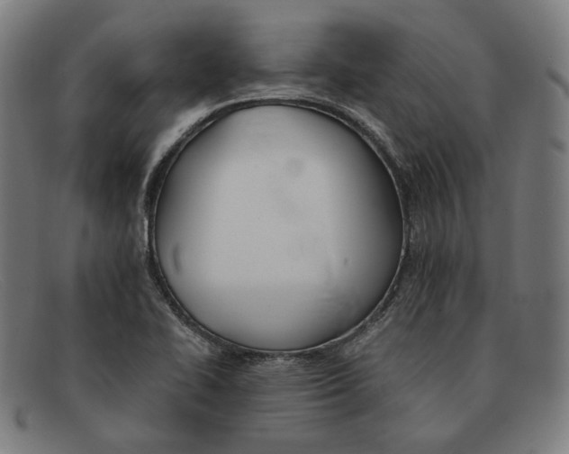 X0000091301414200708311328