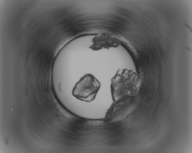 X0000091301417200708311328