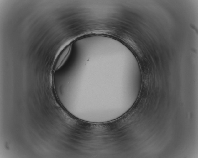 X0000091301420200708311328