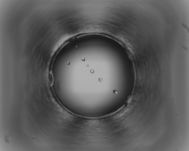 X0000091301422200708311328