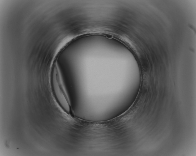 X0000091301424200708311328