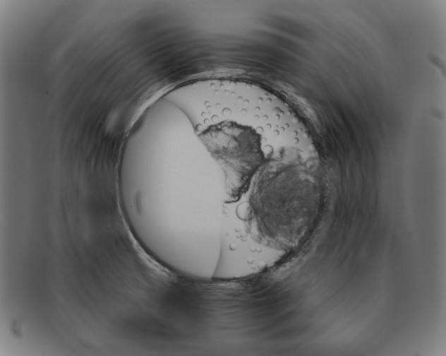 X0000091301425200708311328