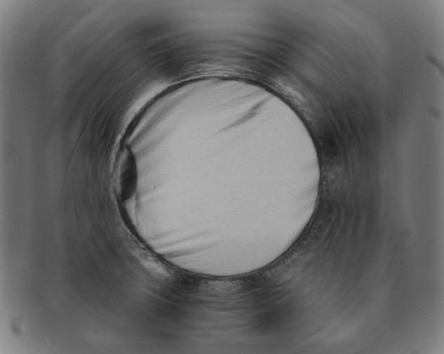 X0000091301427200708311328