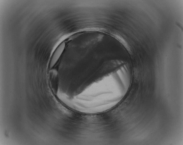 X0000091301428200708311328