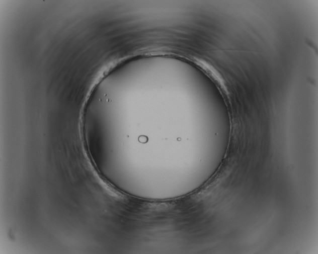 X0000091301429200708311328