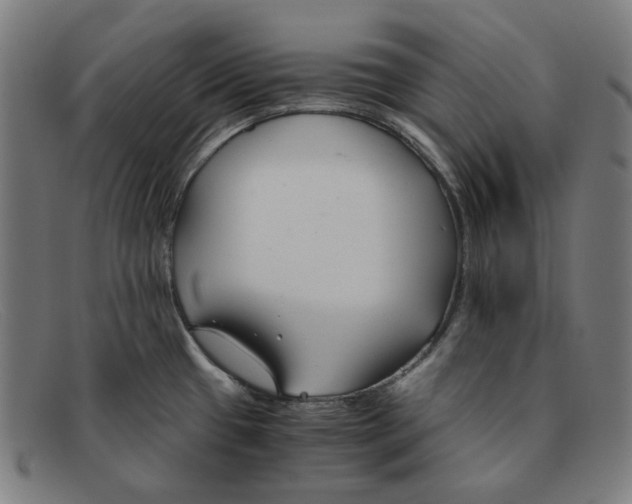 X0000091301433200708311328