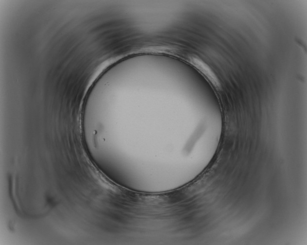 X0000091301436200708311328