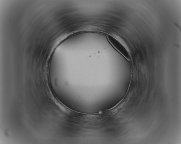 X0000091301437200708311328