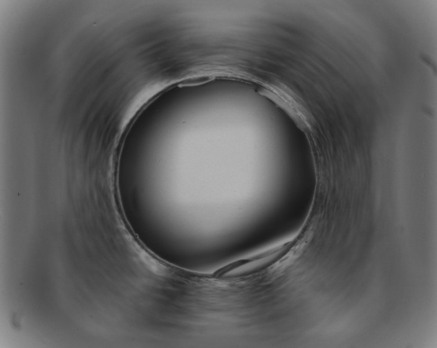 X0000091301438200708311328