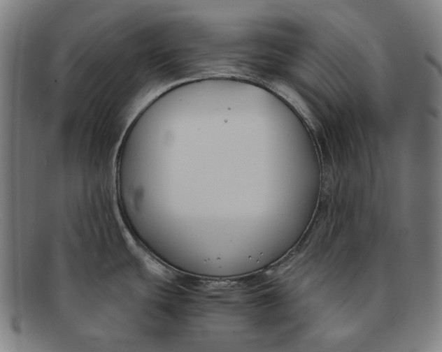 X0000091301439200708311328