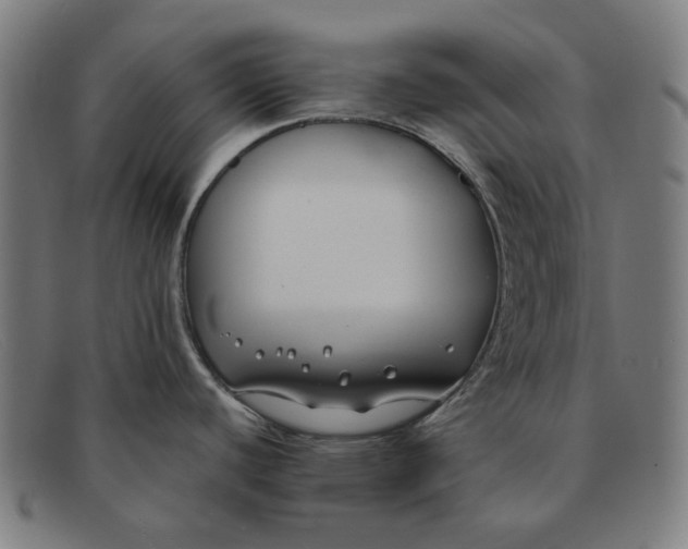 X0000091301440200708311328