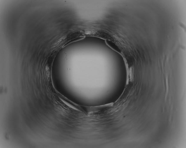 X0000091301443200708311328