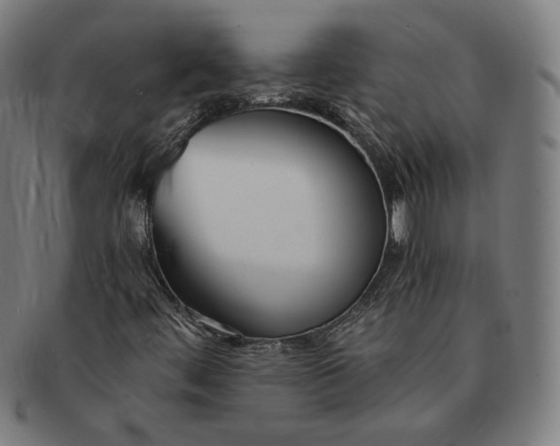 X0000091301444200708311328