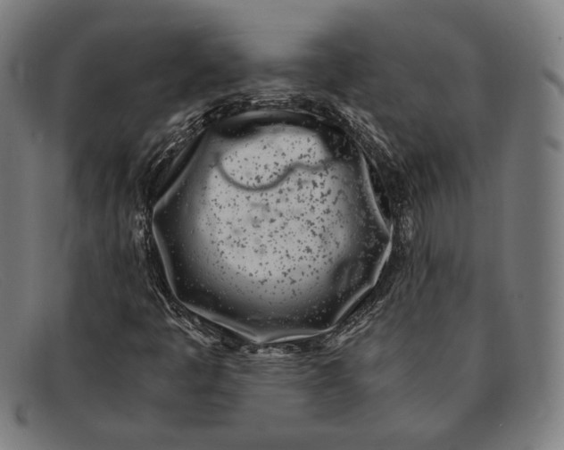 X0000091301445200708311328