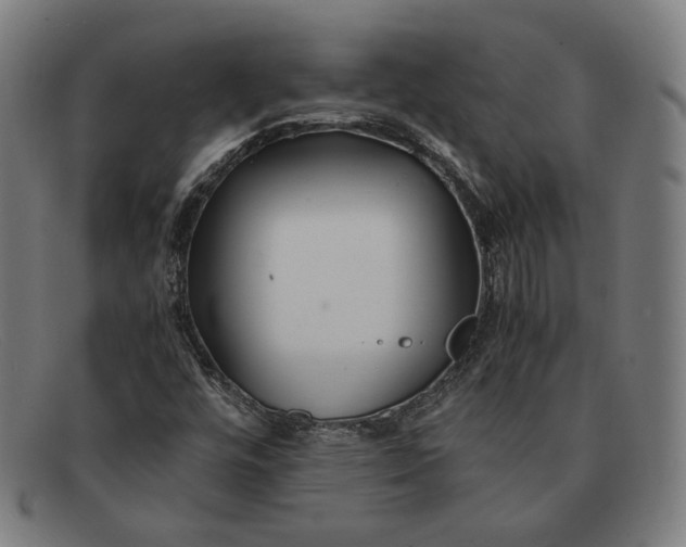 X0000091301448200708311327