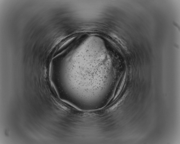 X0000091301449200708311327