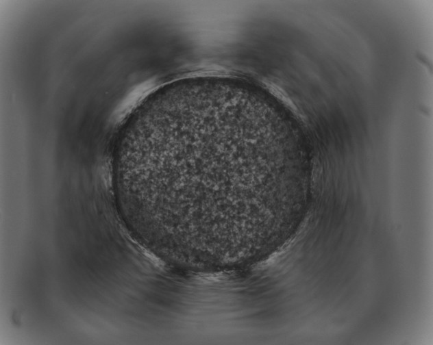 X0000091301455200708311327